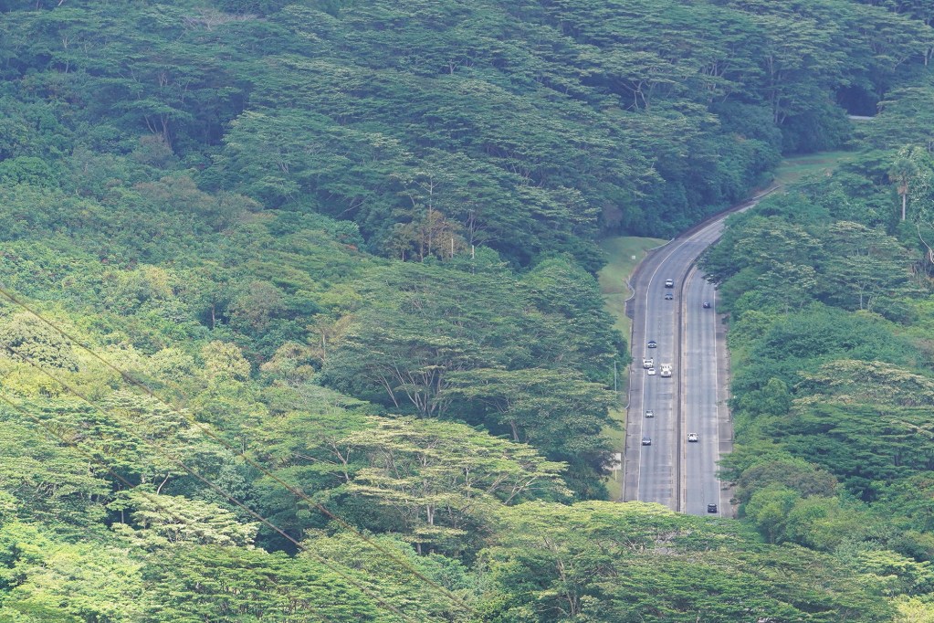 The H3 freeway seen thru a canopy of trees in the shadow of the Koolau mountains.