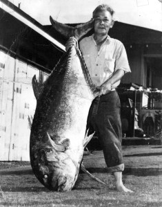 Hawaii Fishing News Kumao Saito Ulua
