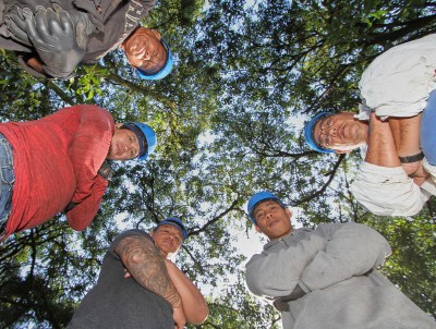 Macadamia workers stand under a canopy of macadamia nut trees on Wednesday. Left to right Rene Marcos, Em-Em Candia, Roy Belmes, Bonie Gamilo, and Patrick Lucas. Photo: Tim Wright
