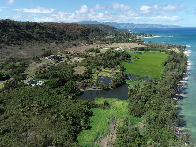 Aerial view Waialee