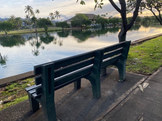 Old-fashioned park bench homelessness Ala Wai Canal