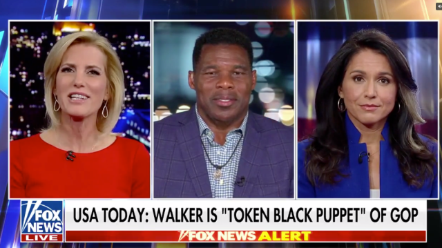 Former Rep. Tulsi Gabbard, D-Hawaii, and Georgia U.S. Senate candidate Herschel Walker join ‘The Ingraham Angle’ to talk about her endorsement.