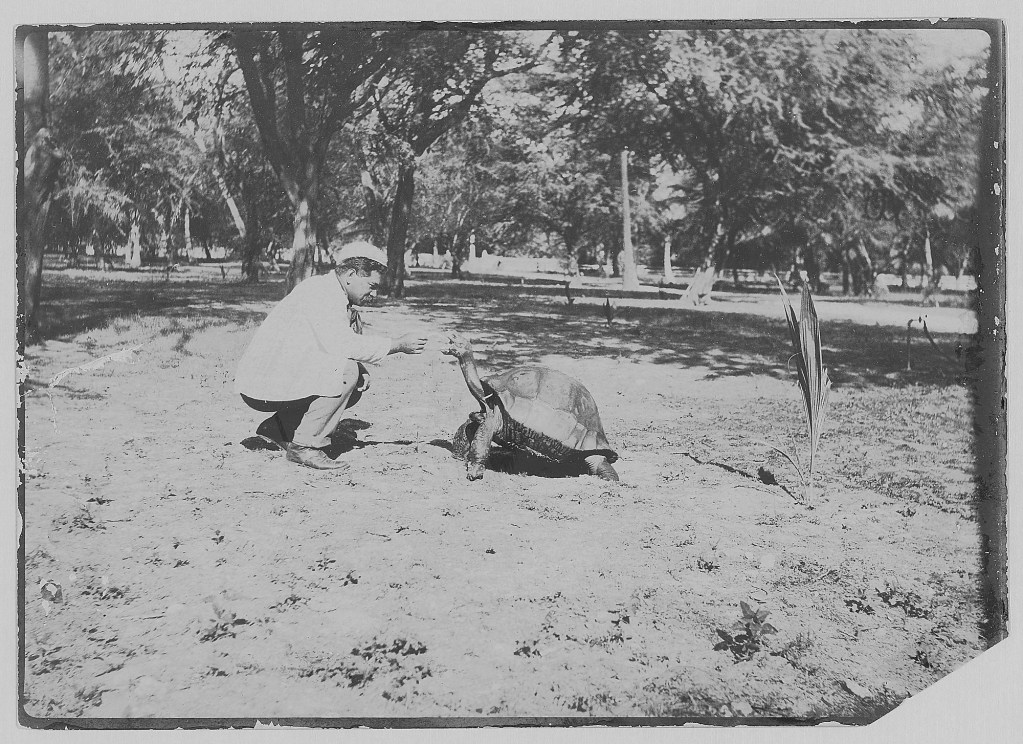 Prince Kuhio and tortoise