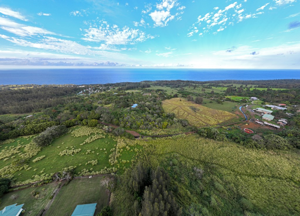 Hamakua Coast on the Big Island. (Nathan Eagle/Civil Beat/2023)