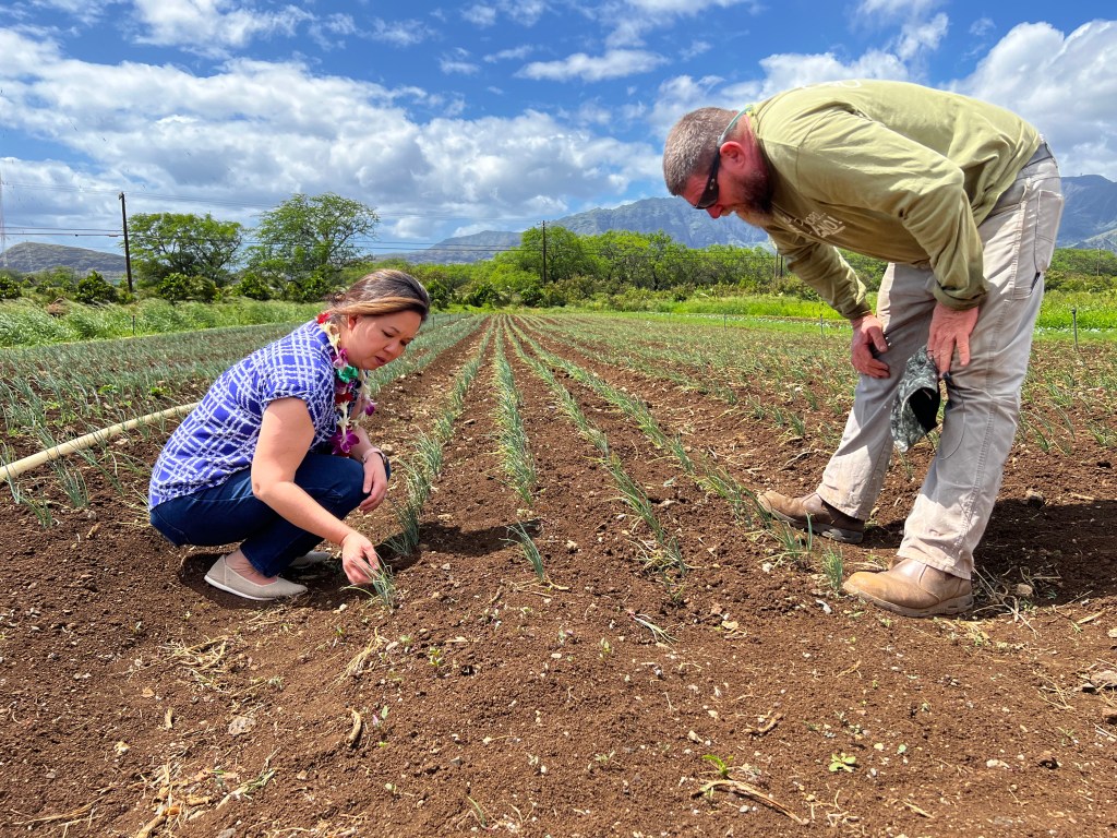 Rep. Jill Tokuda visiting a Hawaii farm while on tour across Hawaii, where she was canvassing Hawaii to find out its agricultural and food priorities.