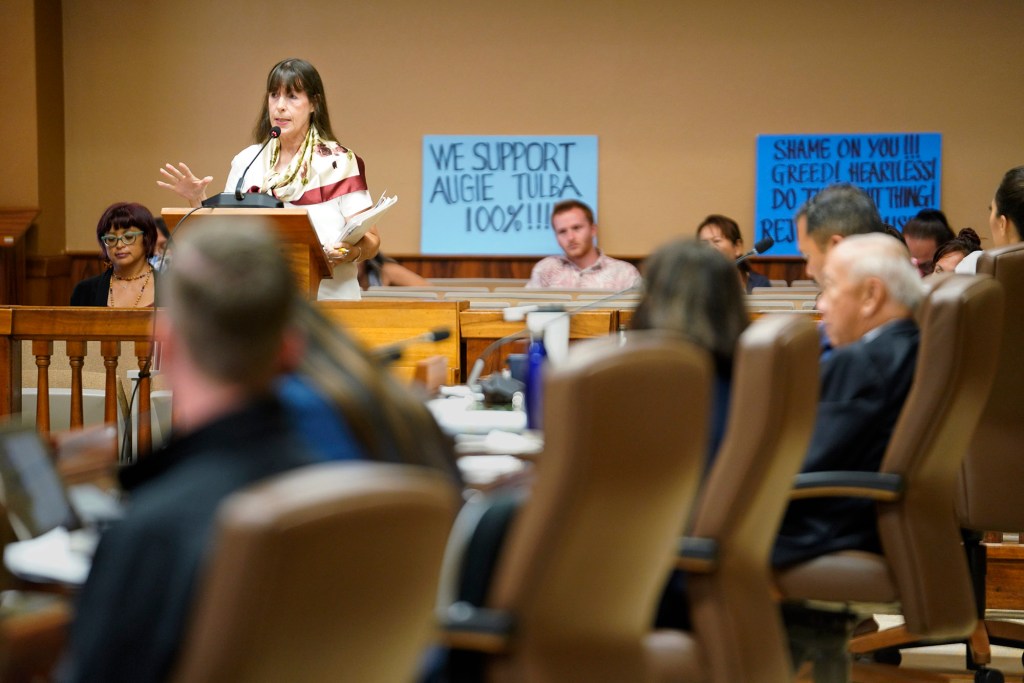 Council District 1 Andria Tupola testimony councilman Tyler Dos Santos-Tam citizens city council pay raise Honolulu Council District VI Natalie Iwasa
