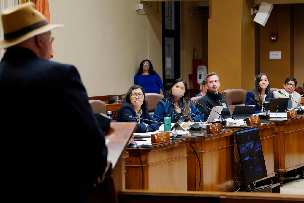 City council members Esther Kia’aina Radiant Cordero Matt Weyer Val Aquino Okimoto Angie Tulba citizen testimony