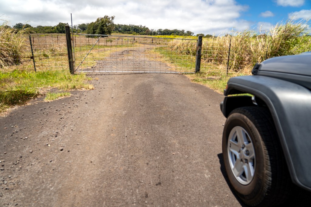 Laupahoehoe community members are frustrated by the recent installation of two gates blocking a road long used for hiking, hunting and public enjoyment. (Nathan Eagle/Civil Beat/2023)