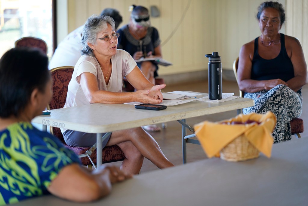 Kailapa Community Association Pavilion Waimea DHHL Department of Hawaiian Home Lands Diane Kanealii water