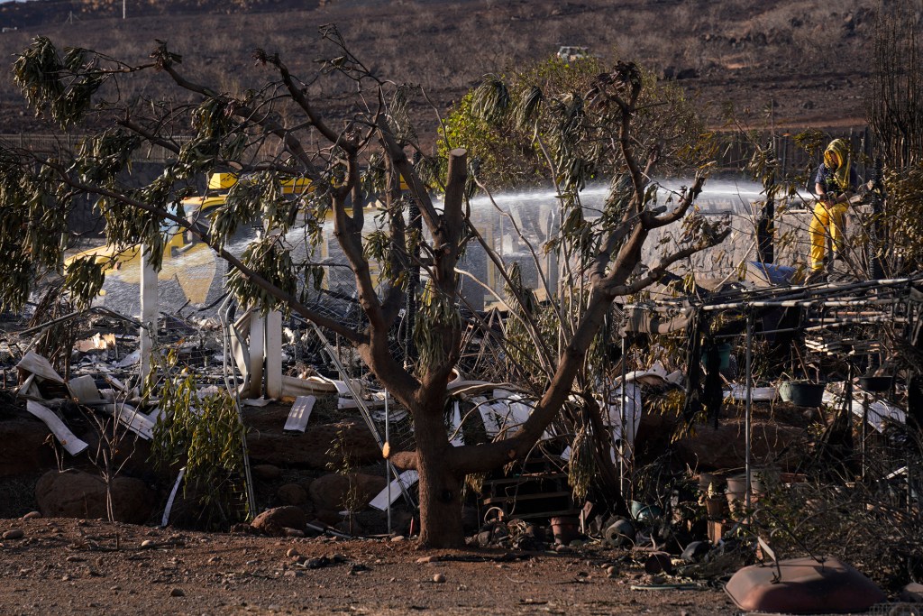 A firefighter sprays water on a hot spot Thursday, Aug. 10, 2023, in Lahaina. (Kevin Fujii/Civil Beat/2023)