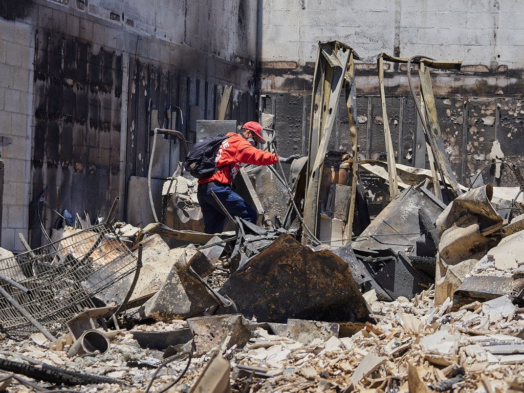 How A Team Of Dedicated Cops And Scientists Sorted Through Ash And Rubble To Identify Lahaina’s Fire Victims