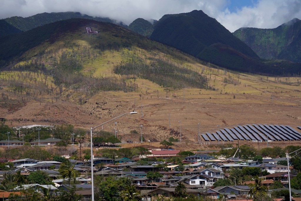 This area mauka of the Lahaina Bypass shows a wildfire burn area near the HECO power station Sunday, Aug. 13, 2023, in Lahaina. A large fire consumed areas of West Maui last week. Utilities have not been fully restored. (Kevin Fujii/Civil Beat/2023)