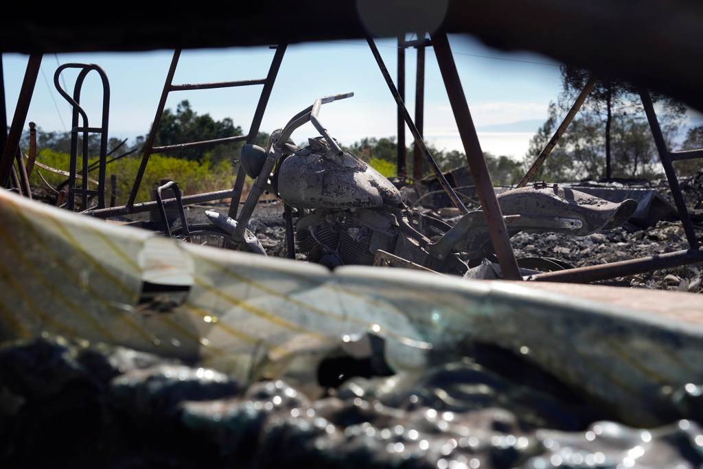 Lauren Haley’s neighbor’s house, cars and Harley Davidson motorcycle were destroyed in a wildfire, photographed Thursday, Aug. 17, 2023, in Kula. Haley has been using the firefighting hose to put out hot spots from underground tree roots. (Kevin Fujii/Civil Beat/2023)