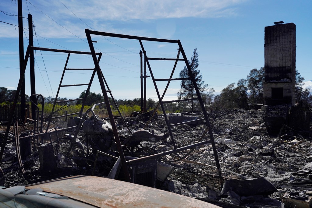 Lauren Haley’s neighbor’s house, cars and Harley Davidson motorcycle were destroyed in a wildfire, photographed Thursday, Aug. 17, 2023, in Kula. Haley has been using the firefighting hose to put out hot spots from underground tree roots. (Kevin Fujii/Civil Beat/2023)