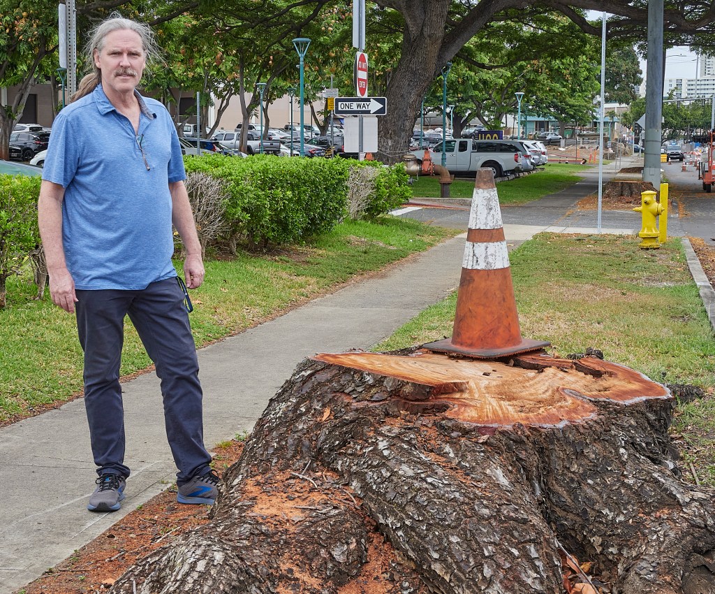 Winston Welch, Executive Director of The Outdoor Circle stands by what remains of a 90 yr old Monkey-pod tree on Dillingham Blvd.