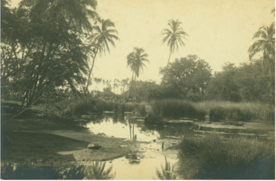 Mokuula Mokuʻula Lahaina Maui fires pond Denby Fawcett column