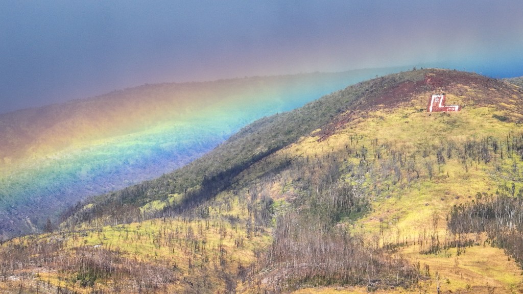 Lahainaluna High School students have for years maintained an "L" outlined in white lime on the Pu’u Pa’u Pa’u hill, whic overlooks Lahaina on West Maui. (Nathan Eagle/Civil Beat/2023)