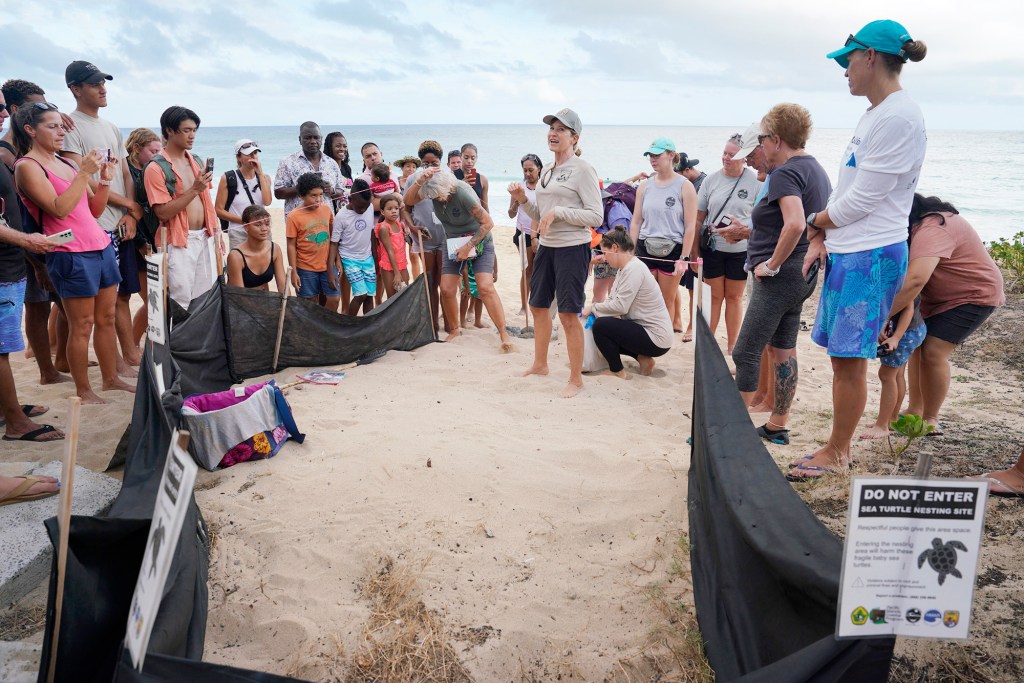 U.S. Fish and Wildlife biologists Sheldon Plentovich welcomes the crowd who came to watch honu hatchlings get released Monday, Oct. 2, 2023, at Sandy Beach in Honolulu. The crowd later grew to approximately 80 onlookers. (Kevin Fujii/Civil Beat/2023)