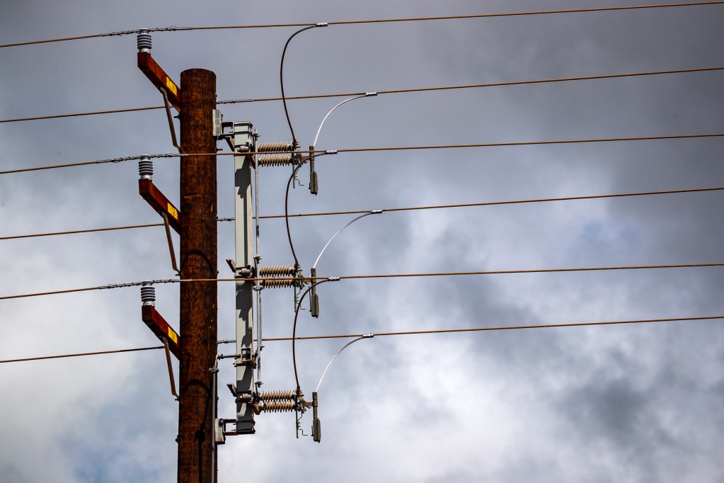 Power lines on Maui in Kaanapali. (Nathan Eagle/Civil Beat/2023)