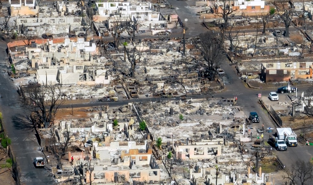 U'i Kahue's tropical plant nursery on Kopili Street was destroyed in the Aug. 8 fires in Lahaina. (Nathan Eagle/Civil Beat/2023)