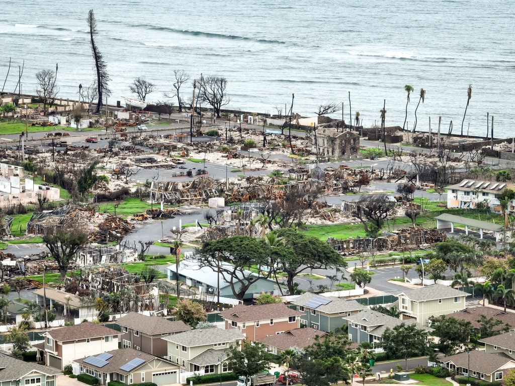 The grass is coming back in Lahaina in the area near the old U.S. Seamen's Hospital Museum, Feb. 1, 2024. (Nathan Eagle/Civil Beat/2024)