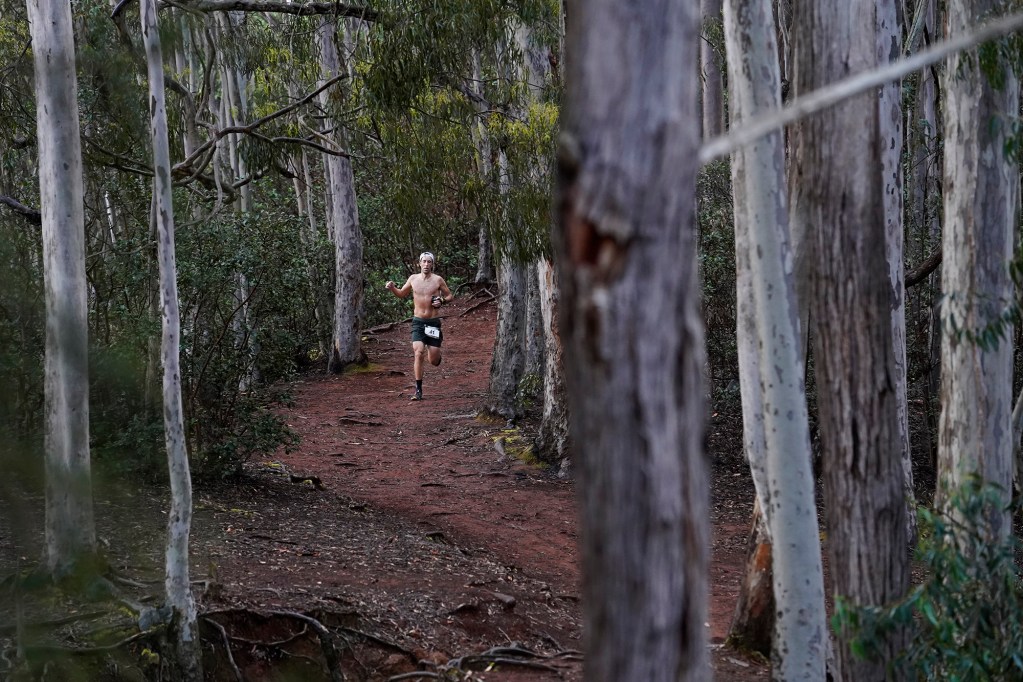 Timmy Glickman leads the way during the Hawaiian Ultra Running Team’s race called the Aiea Loop Express at Keaīwa Heiau State Recreation Area Saturday, March 23, 2024, in Aiea. Glickman won the race in a time of 49:41.5. Runners consider this an easy course with a distance of only 6.75-mile and 1,442’ of elevation gain. The trail is mostly wide and free of challenging obstacles. (Kevin Fujii/Civil Beat/2024)