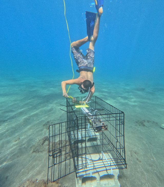 University of Hawaii researchers have been testing the offshore water quality following the Aug. 8 fires in Lahaina. (Courtesy: Andrea Kealoha/2023)