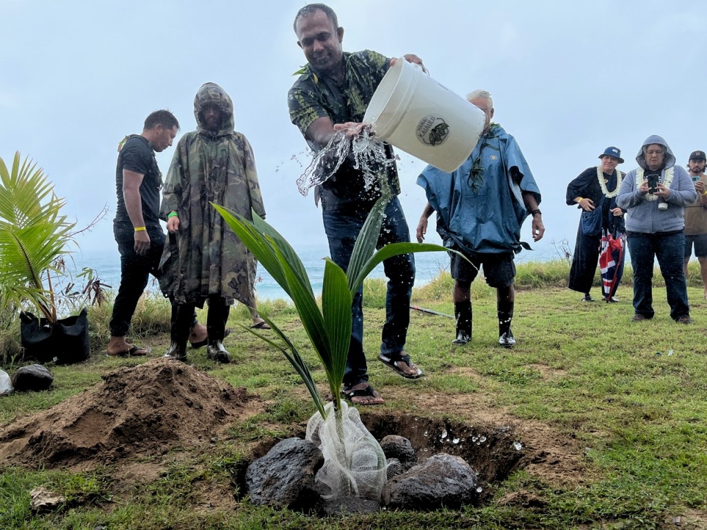 Coconut palm tree planting at Tracks Beach Park, Waianae Coast on January 28