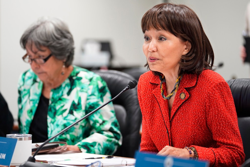 Senate committee on higher education chair Donna Kim questions Michael Miyahira during his confirmation hearing  to the University of Hawaii board of regents Tuesday, April 16, 2024, in Honolulu. (Kevin Fujii/Civil Beat/2024)