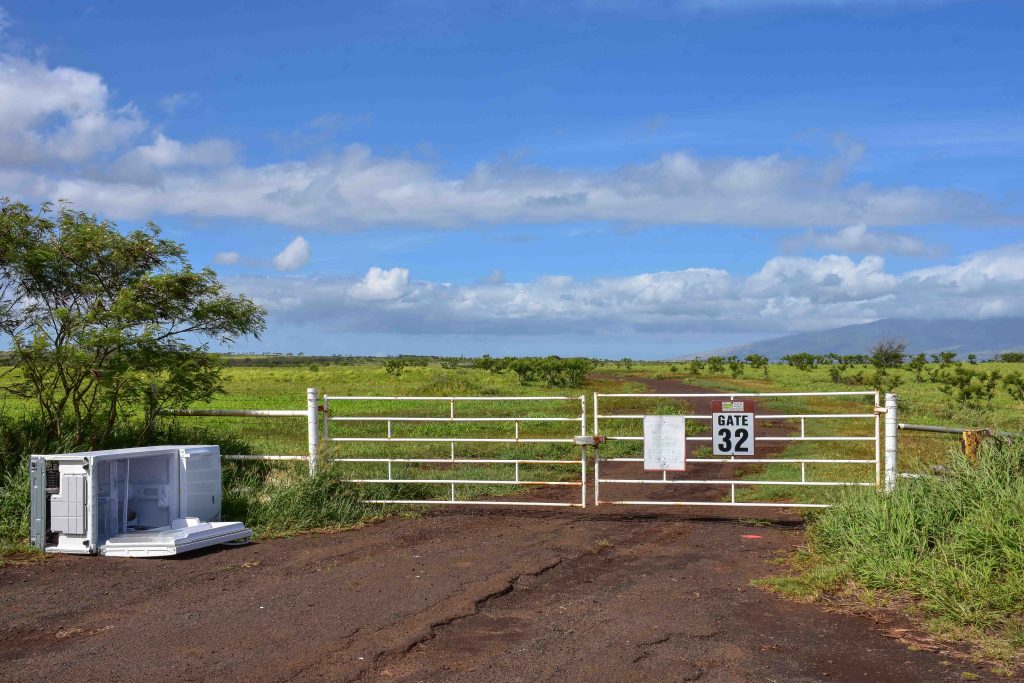Farm company Mahi Pono will allow access to its usually gated cane roads along Holomua Road for fire trucks and public evacuations during emergencies. (Cammy Clark/Civil Beat/2024)