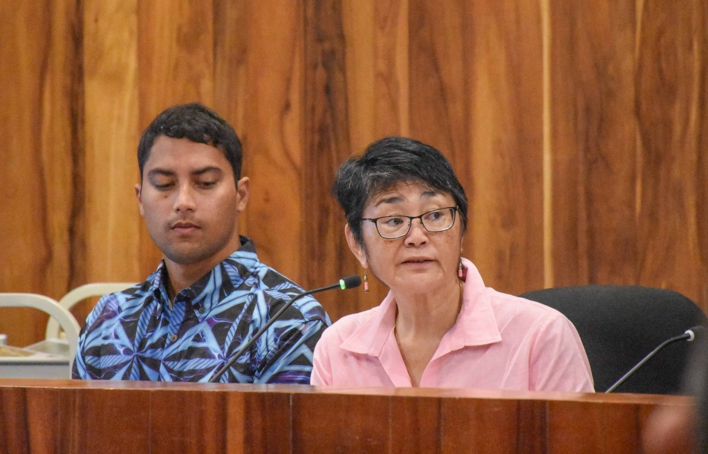 Lori Tsuhako, director of Housing and Human Concerns, oversees many grant to nonprofits and animal management. (Cammy Clark/Civil Beat/2024)