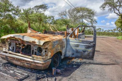 In the past month, Maui police have tagged about 60 abandoned or derelict vehicles for removal along Holomua Road in Paia in an effort to make the area safer for the upcoming wildfire season. (Cammy Clark/Civil Beat/2024)