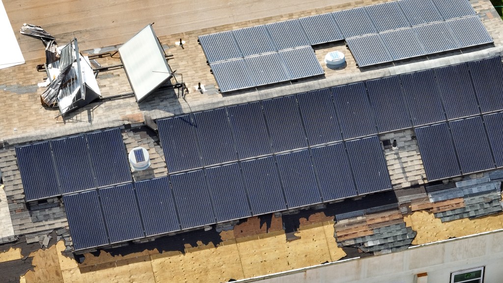 Rooftop solar after the Aug. 8 fires in Lahaina. (Nathan Eagle/Civil Beat/2024)