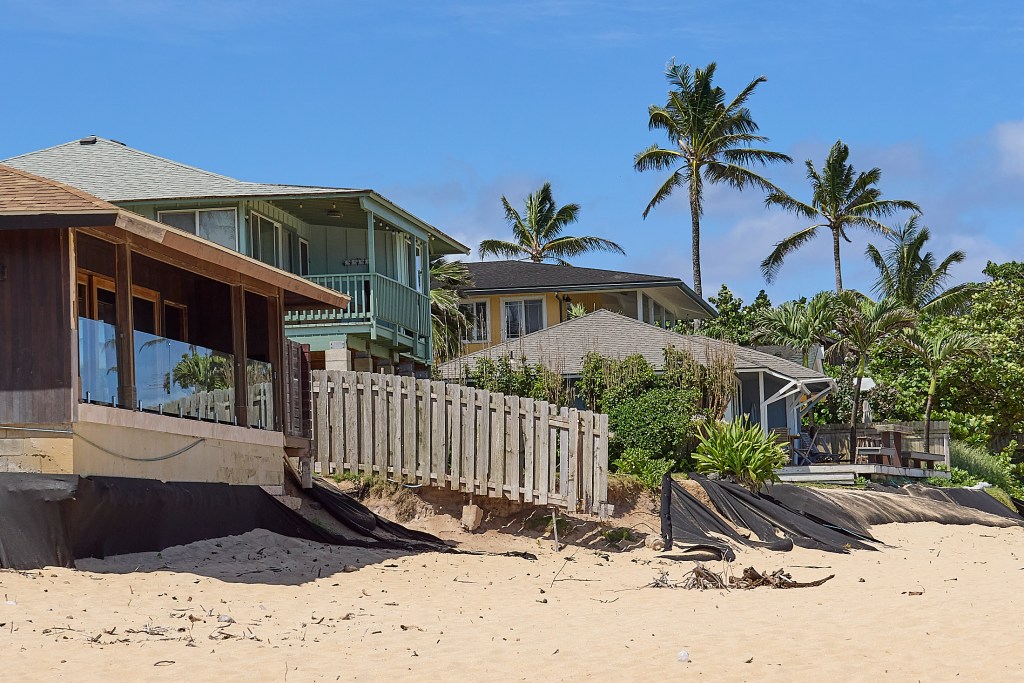 As the Summer approaches, residents along the shore line at Sunset Beach on Oahu’s north shore are expecting a reprieve from the erosion that accompanies many winter swells. Some residents have installed their own barriers in efforts to hold back the ocean but those have that have decayed into pieces of themselves scattered along the otherwise pristine beaches. Denise Antolini (pink hat) along with Sue Cortes (blue top), Randy Grey hat) and Judy Meyers (black Top) are seeking to resolve both the owners issues and the DLNR’s issues with owners self manufactured barriers. Photographed May 28th, 2024. (David Croxford/Civil Beat/2024)