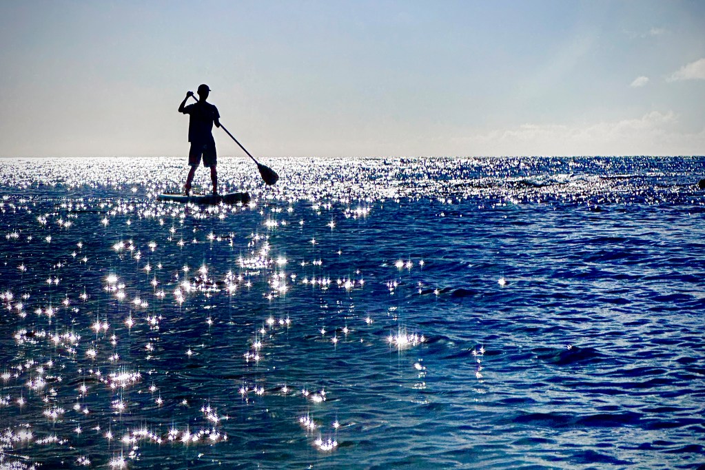 Tyler Cuff of San Jose, California, paddles near Puaena Point Sunday, June 16, 2024, near Haleiwa. (Kevin Fuji/Civil Beat/2024)