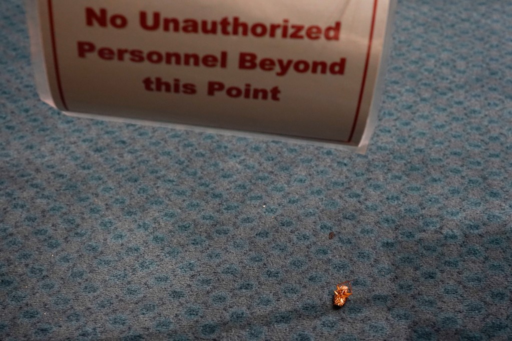With Congress out of session, a lifeless cockroach lies under a sign closing the Senate gallery Saturday, July 27, 2024, in the Hawaii State Capitol in Honolulu. (Kevin Fujii/Civil Beat/2024)