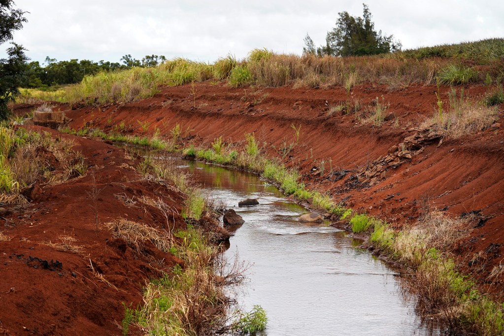 An irrigation ditch flows at the Dole pineapple fields Monday, Aug. 5, 2024, in Wahiawa. (Kevin Fujii/Civil Beat/2024)
