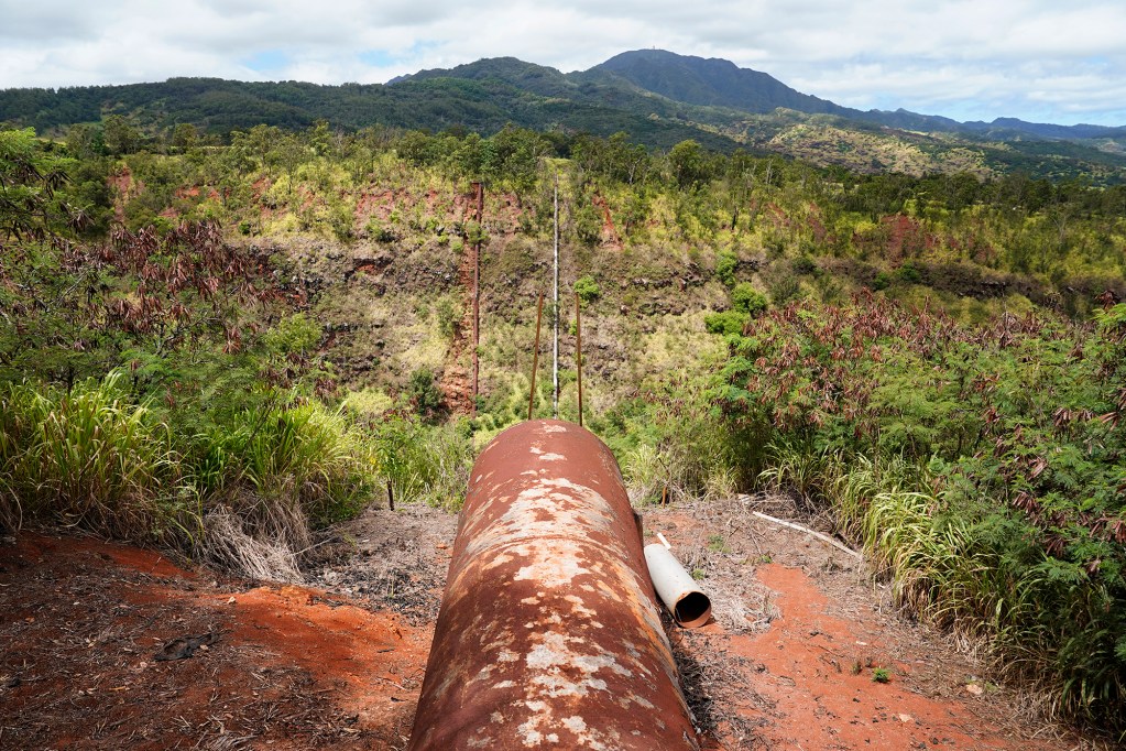Water is pumped up from a gravity fed irrigation canal to a Dole pineapple fields Monday, Aug. 5, 2024, in Wahiawa. Oahu’s highest point Mt. Kaala rises in the background. (Kevin Fujii/Civil Beat/2024)