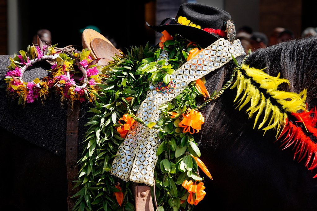 The Aloha Festivals 76th Annual Floral Parade Equestrian Marshal honors Likeke Ibale Saturday, Sept. 25, 2024, in Honolulu. (Kevin Fujii/Civil Beat/2024)