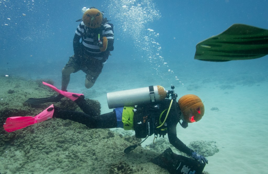 Island Divers Hawaii divemaster Julia Furletti swims with her jack-o-lantern during their underwater pumpkin carving contest Saturday, Oct. 26, 2024, in Honolulu. (Kevin Fujii/Civil Beat/2024)