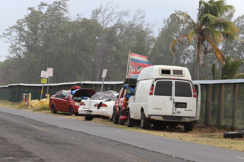 A few vehicles parked alongside Amala Place in Kahului seem to be used as storage and base camp for houseless people. (Leo Azambuja/Civil Beat/2024)