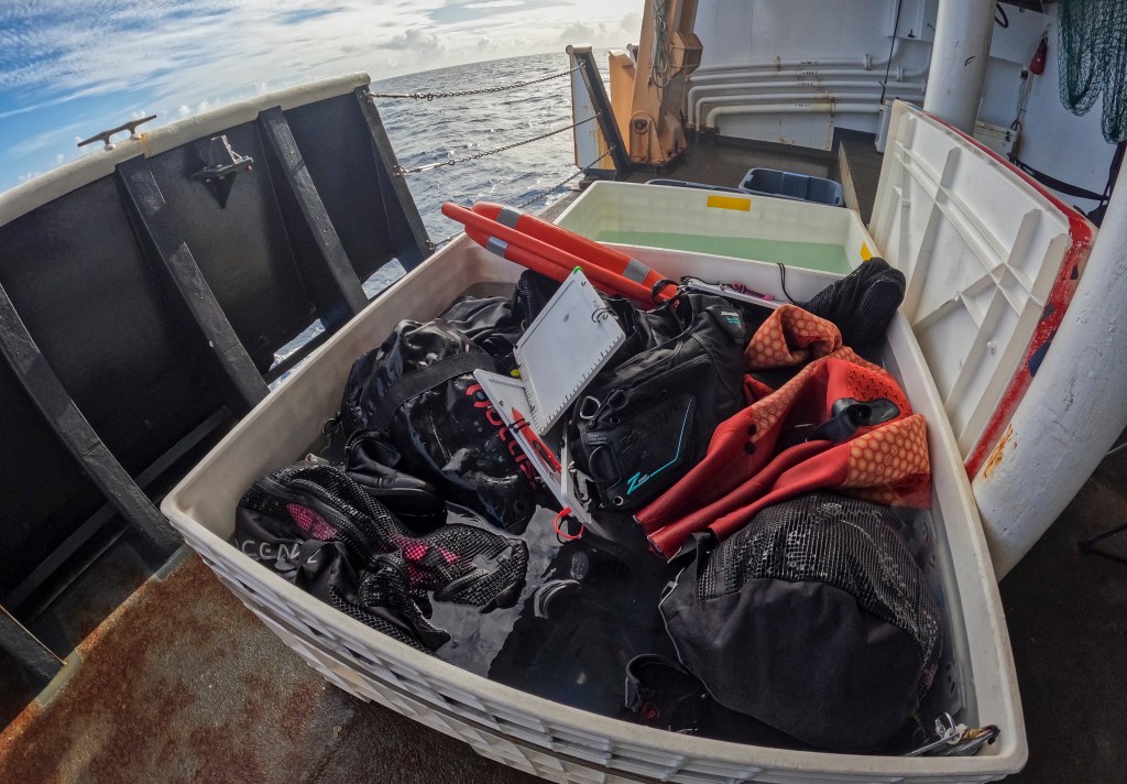 Scientists soaked their dive gear in a bleach solution to prevent the spread of chondria. (Nathan Eagle/Civil Beat/2024)