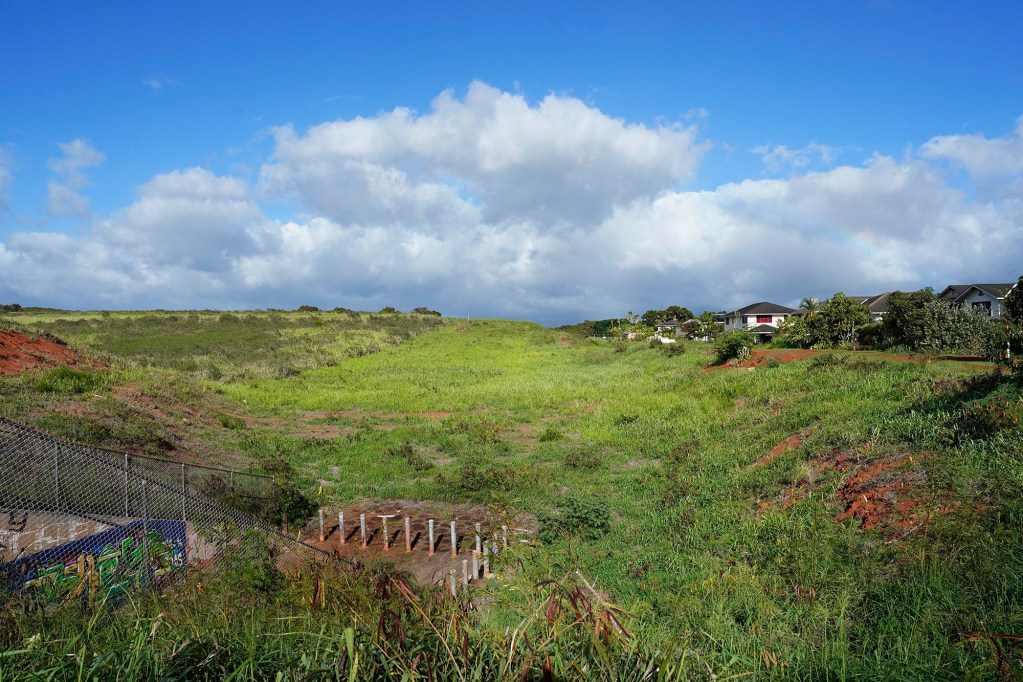 DHHL will be acquiring land mauka of Royal Kunia, photographed Wednesday, Nov. 13, 2024, in Waipahu. (Kevin Fujii/Civil Beat/2024)