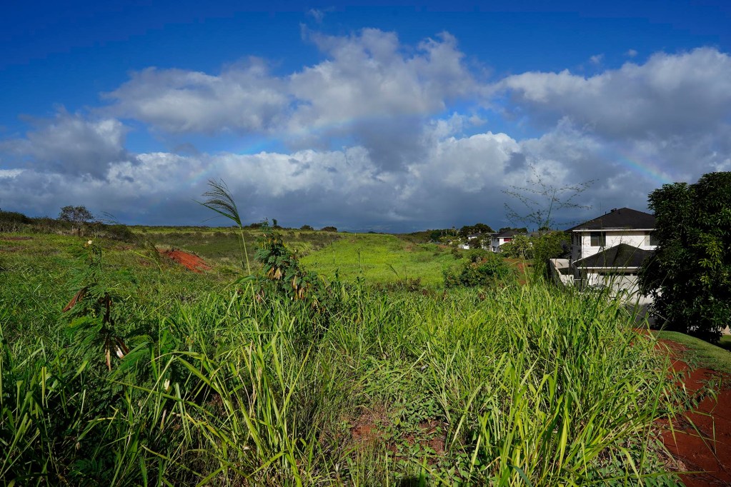 DHHL will be acquiring land mauka of Royal Kunia, photographed Wednesday, Nov. 13, 2024, in Waipahu. (Kevin Fujii/Civil Beat/2024)