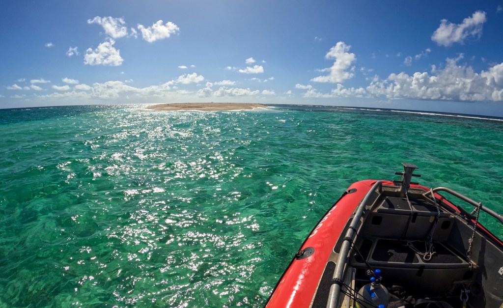 East Island has regained about 60% of its size before the hurricane in 2018 but still just barely sticks above sea level. (Nathan Eagle/Civil Beat/2024)