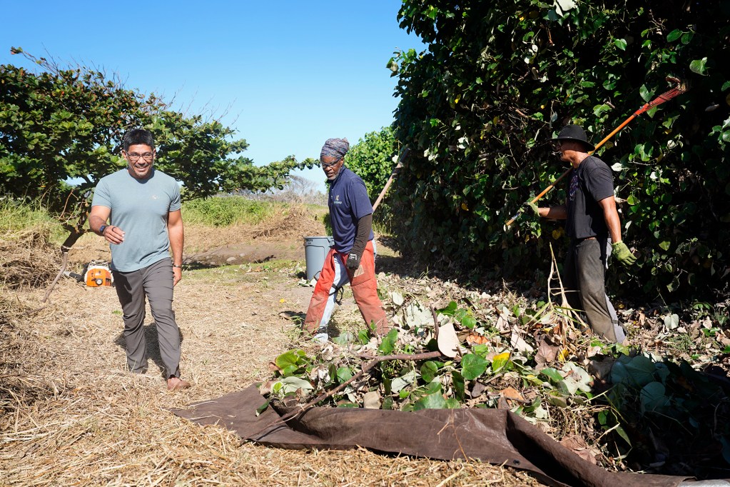 Ka’ehu Executive Director Keolamau Tengan, from left, checks Gregory Stoute and Mannon Kamai’s progress of clearing overgrowth Thursday, Dec. 19, 2024, in Wailuku. (Kevin Fujii/Civil Beat/2024)