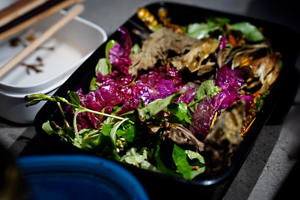 Dr. Nat Bletter created a salad with greens found during an Urban Foraging in Honolulu's Jungles tour Sunday, Dec. 15, 2024, in Honolulu. The colorful leaves are bougainvillea flowers roasted before the class. (Kevin Fujii/Civil Beat/2024)