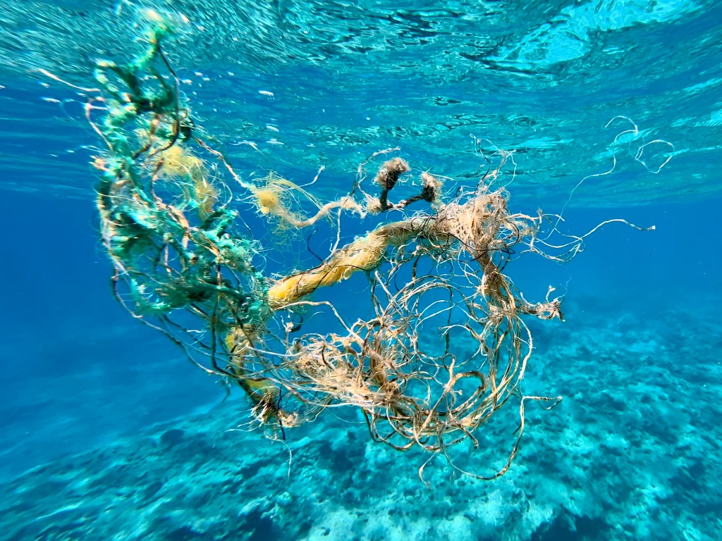 Chondria is much more likely to spread from one island to the next by hitching a ride on marine debris like this abandoned fishing net off Holaniku. (Nathan Eagle/Civil Beat/2024)