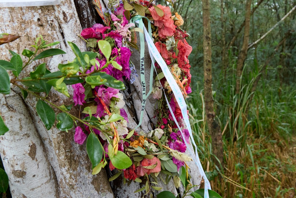 At the entrance to the Ehukai Pillbox Trail in the Sunset Beach Neighborhood Park there is a medium sized tree on the left side of the trail that is adorned today with a wreath marked with a simple black marker title ÒTiare Jan 1 2025Ó According to an HPD Incident Report (?) Tiare attended a RAVE New YearÕs party and succumbed to some form of misbehavior that took her life. Rumors abound as to just what happened but Neighbors have complained for quite some time, that there are Rave type parties with loud music, alcohol and possible drug activity that regularly take place further into the trail.(David Croxford/Civil Beat/2025