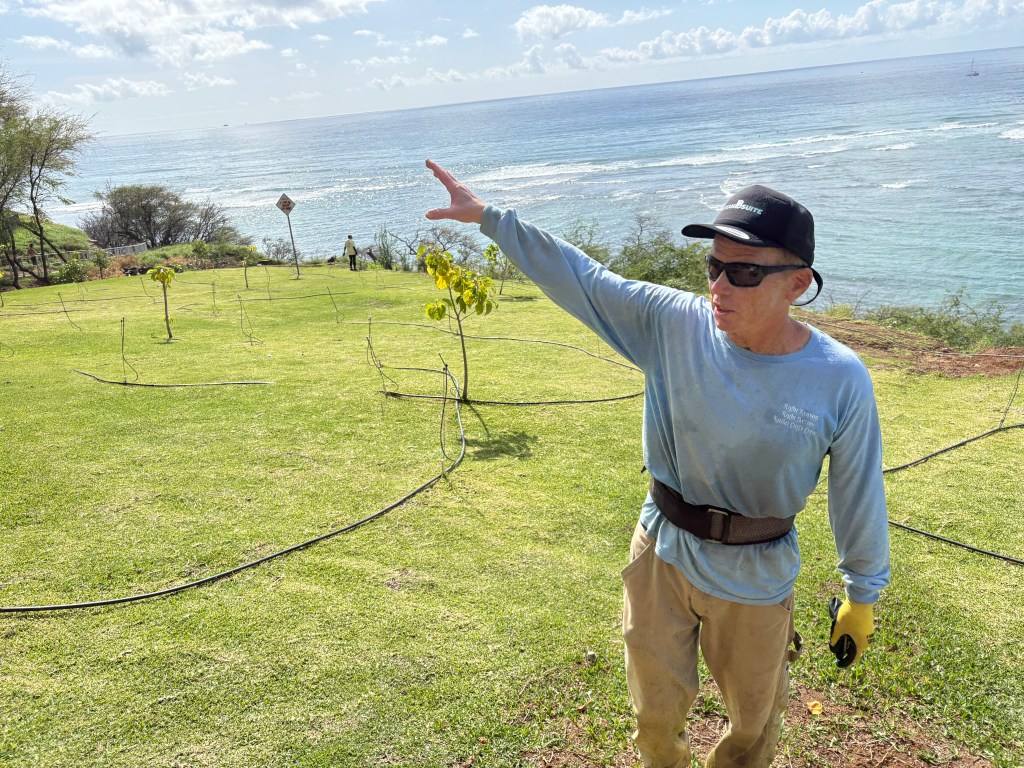 Kuilei Cliffs co-founder Keoni Kino stands amid some of the group's landscaping and irrigation work on the bluffs overlooking the beach at Diamond Head.